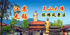鸡吧插子宫高清观看江苏无锡灵山大佛旅游风景区