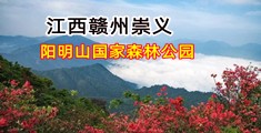 BB操逼视频小说的